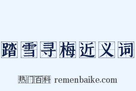 踏雪寻梅近义词是什么意思的图片